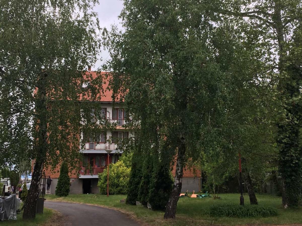 Balatoni Retro Villa بالاتونفينيفيس المظهر الخارجي الصورة